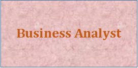 Business Analyst